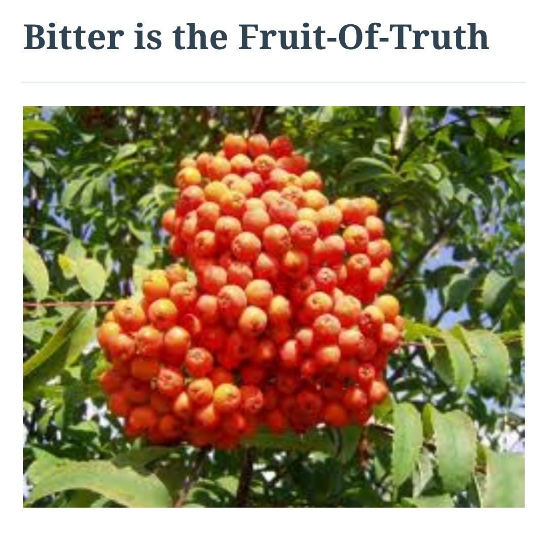 Bitter is the Fruit-Of-Truth